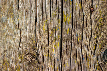 Similar image 10872679