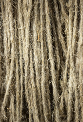 Similar image 10872681