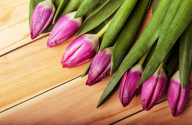 Similar image 10872718