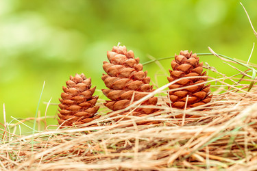 Similar image 10872918