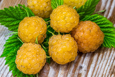 Similar image 10873296