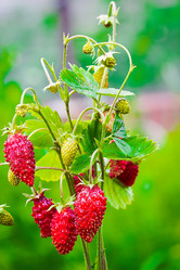 Similar image 10873067