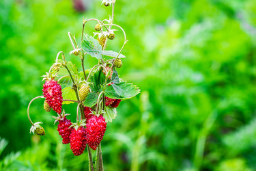 Similar image 10873068