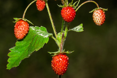 Similar image 10873069