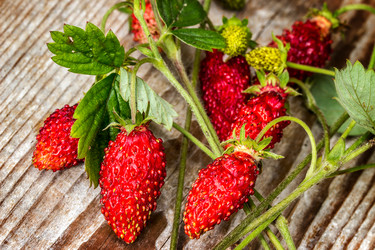 Similar image 10873070