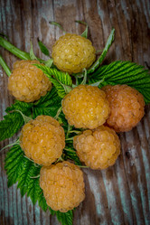 Similar image 10873315