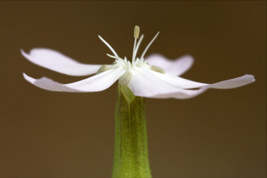 Similar image 10882919