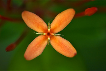 Similar image 10882955