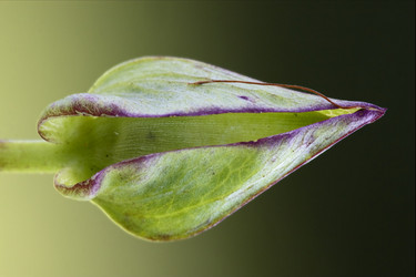 Similar image 10882958