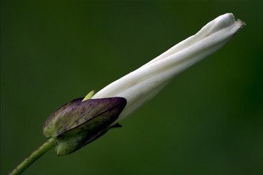 Similar image 10882967