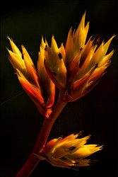 Similar image 10882971