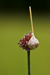 Similar image 10882972