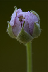 Similar image 10883089