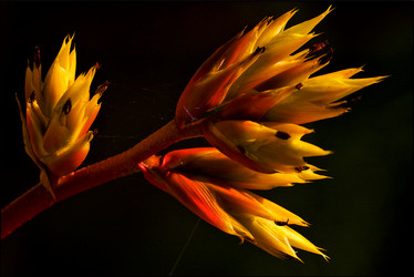 Similar image 10883004