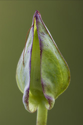 Similar image 10882942