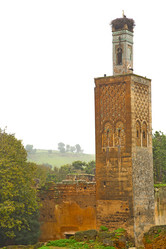 Similar image 10882830