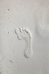 Similar image 10863879