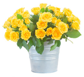 Similar image 10865469