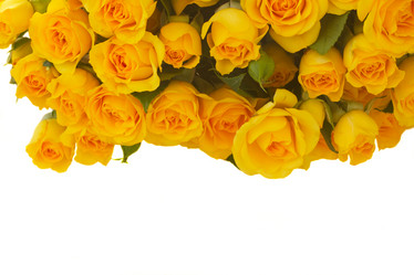 Similar image 10865471