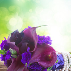 Similar image 10865479