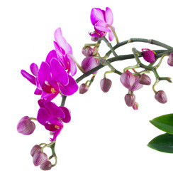 Similar image 10865484