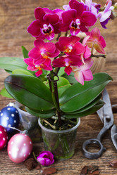 Similar image 10865530