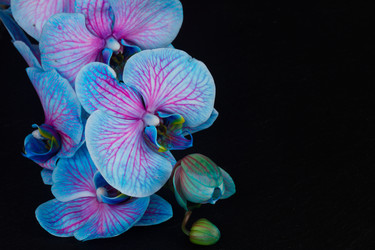 Similar image 10865533