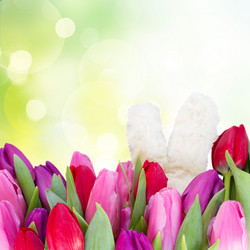 Similar image 10865536