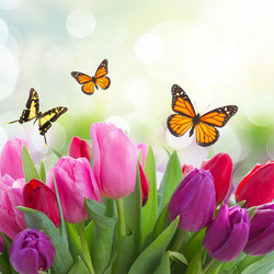 Similar image 10865537