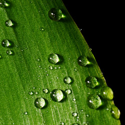 Similar image 10868268