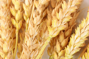 Similar image 10868271