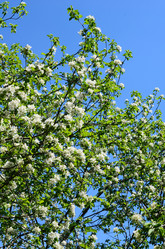 Similar image 10868368