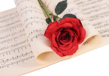 Similar image 10868247