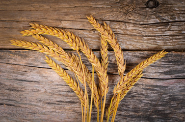 Similar image 10868254