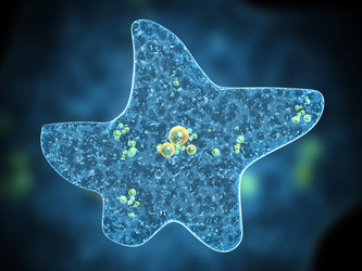 Similar image 10864680