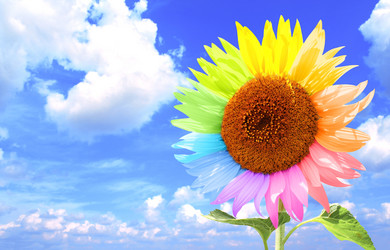 Similar image 10864682