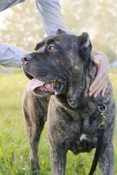 Similar image 10865773