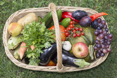 Similar image 10865784