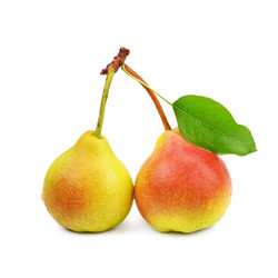 Similar image 10864567