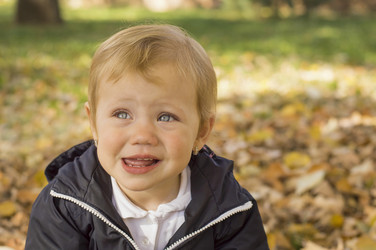 Similar image 10865791