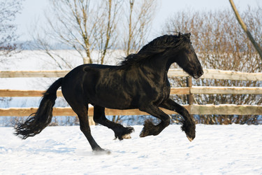 Similar image 10865453