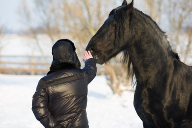 Similar image 10865456