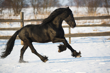 Similar image 10865464