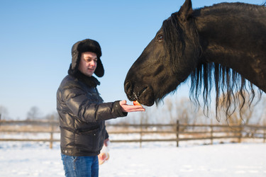 Similar image 10865486