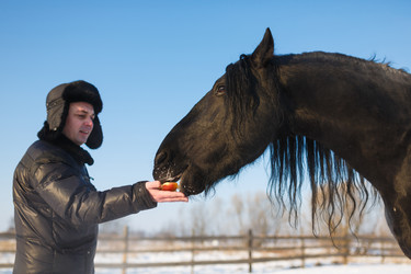 Similar image 10865487