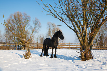 Similar image 10865489