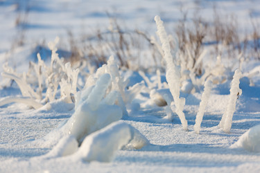 Similar image 10865498