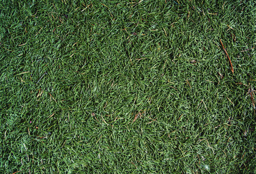 Similar image 10881650