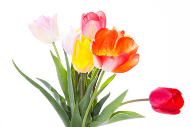 Similar image 10868699