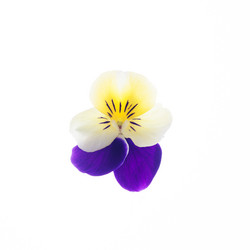 Similar image 10868701